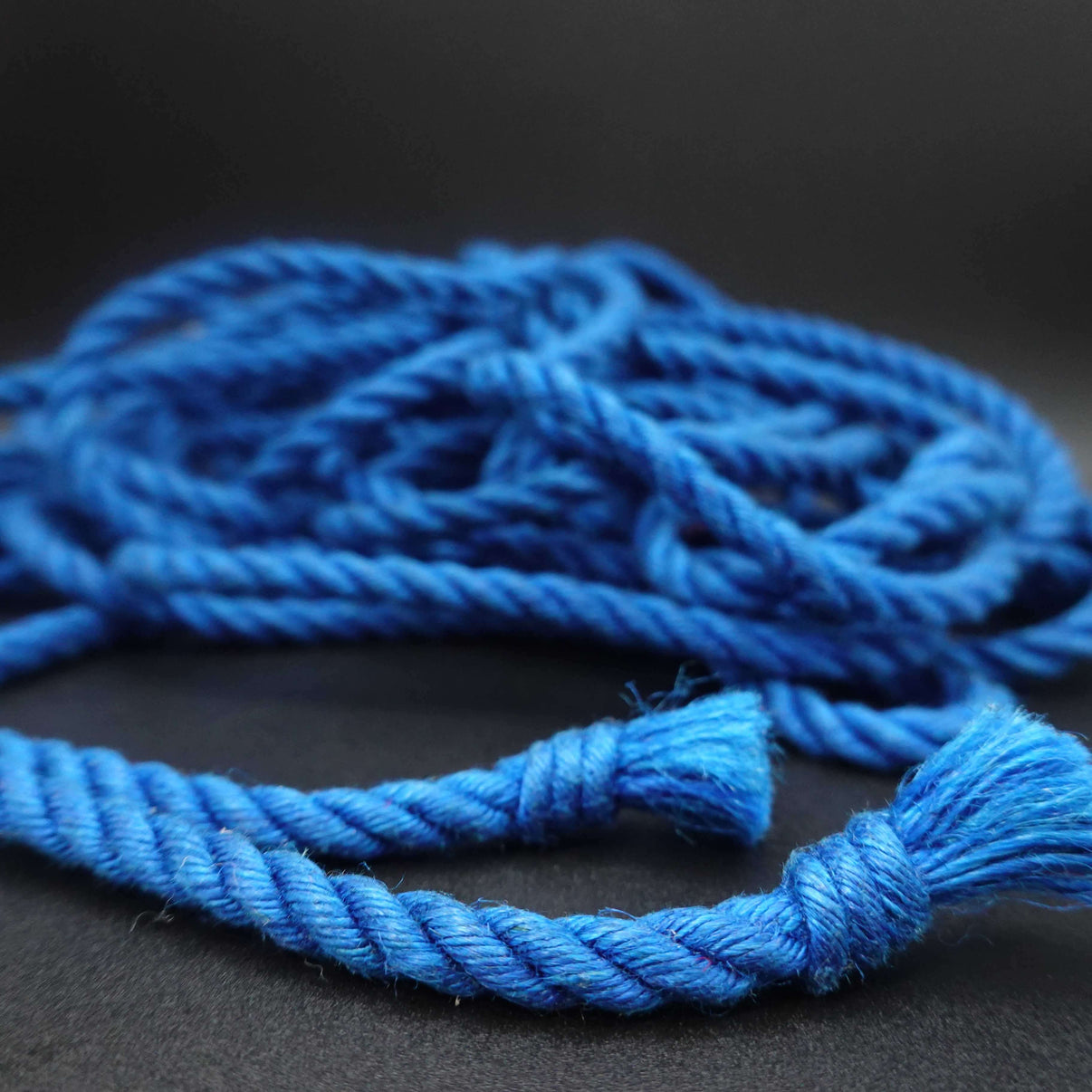 Blue Jute Shibari Rope