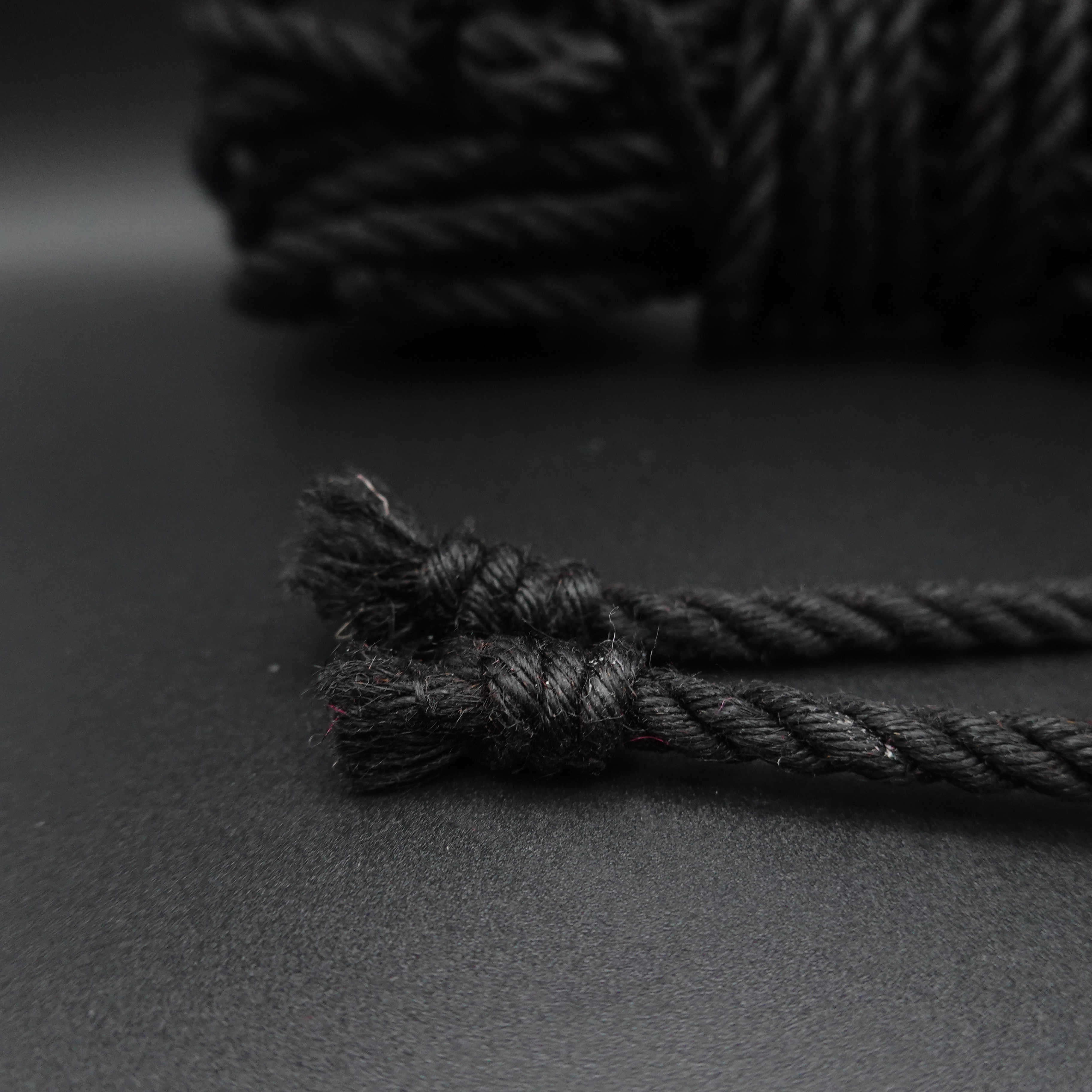 Shibari Rope by Shoshinsha/Suspension and Floor Work