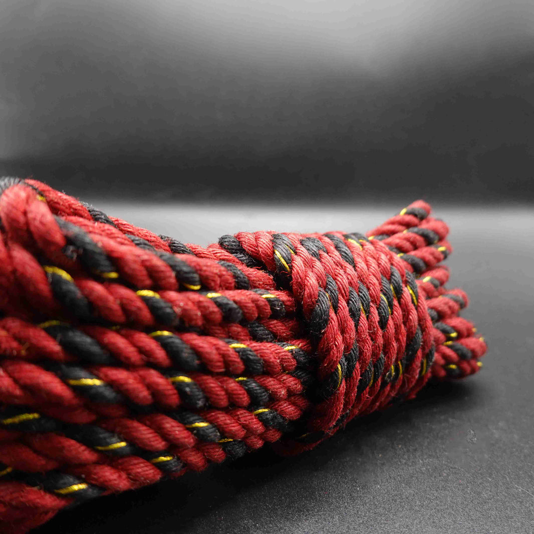 Shibari Rope by Shoshinsha/Suspension and Floor Work
