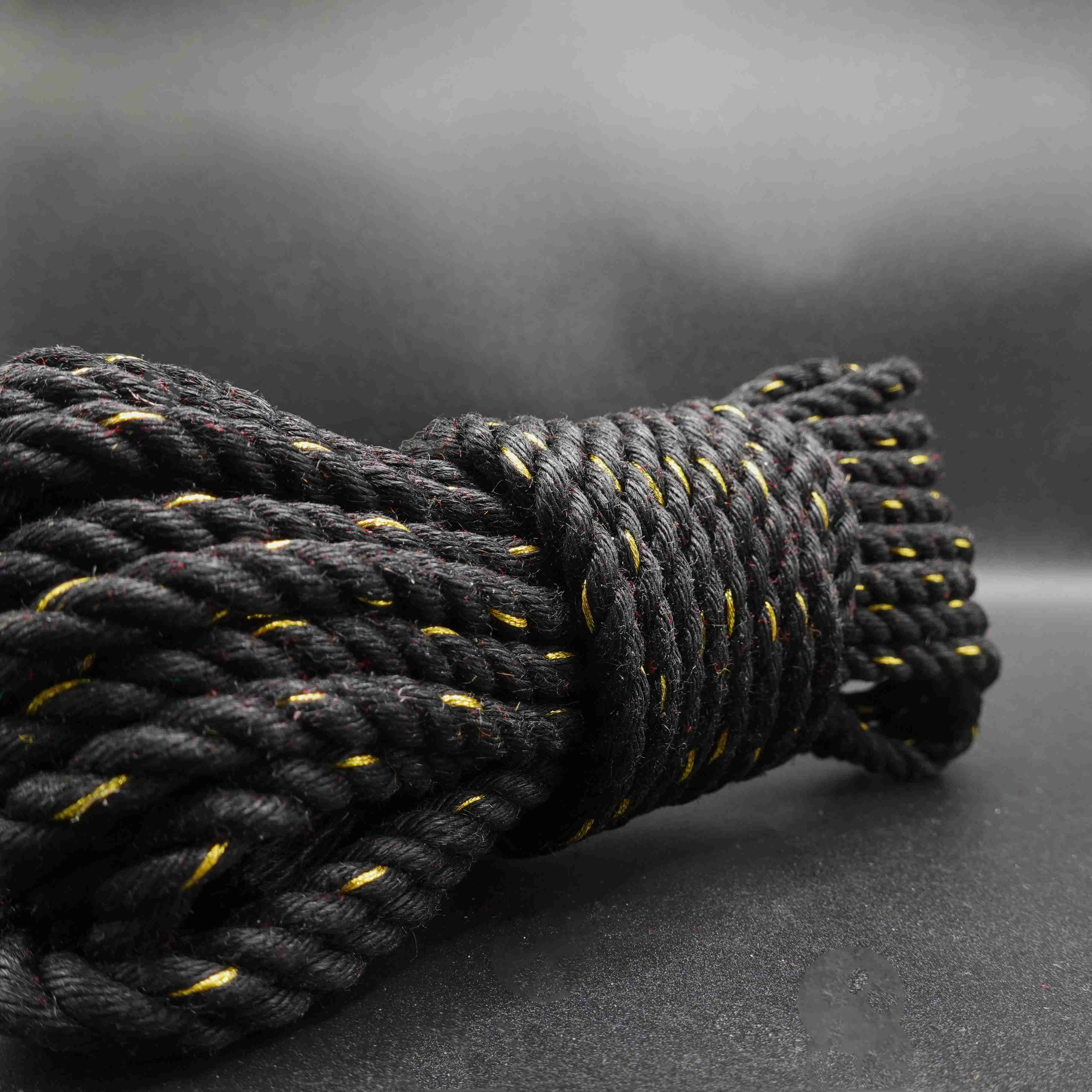 Shibari Rope by Shoshinsha/Suspension and Floor Work